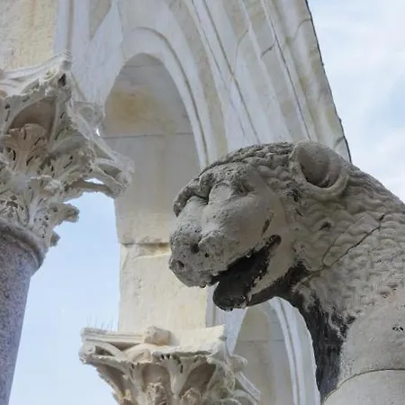 Arbol Διαμέρισμα *